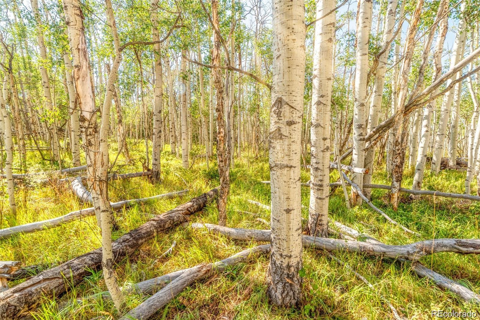 607 Boreas Circle Jefferson, CO 80456 - Photo 19 of 30