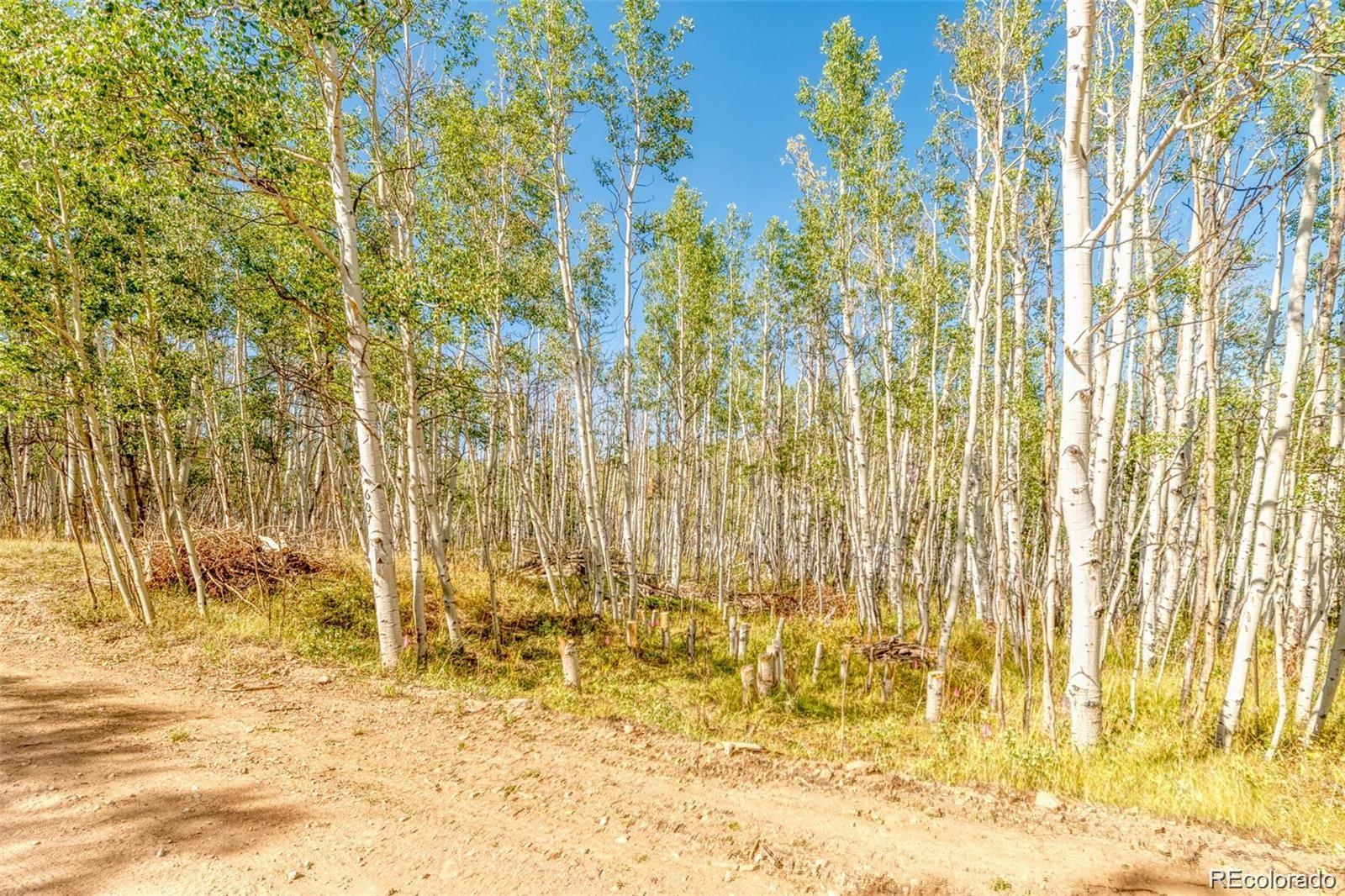 607 Boreas Circle Jefferson, CO 80456 - Photo 20 of 30