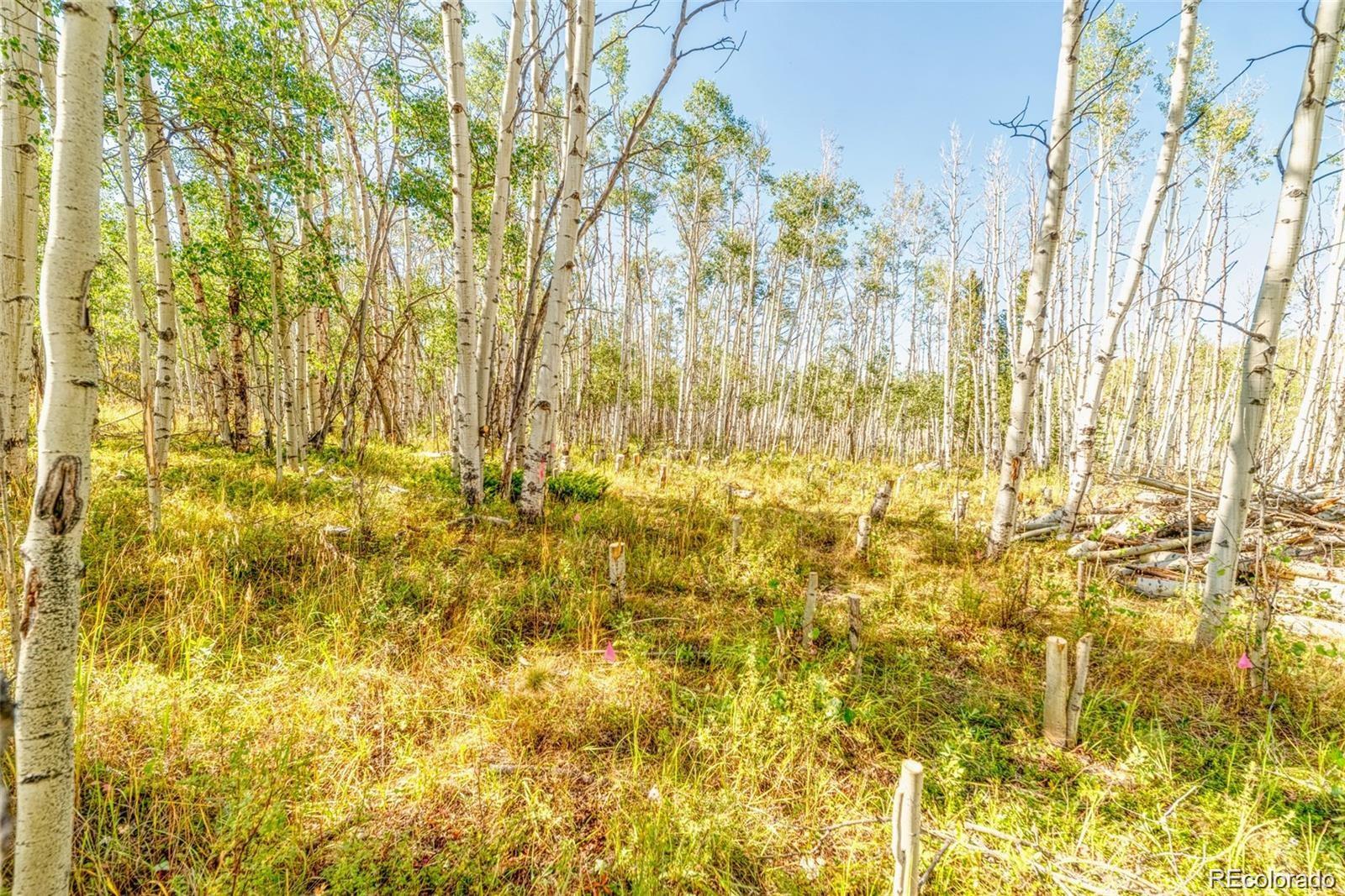 607 Boreas Circle Jefferson, CO 80456 - Photo 21 of 30