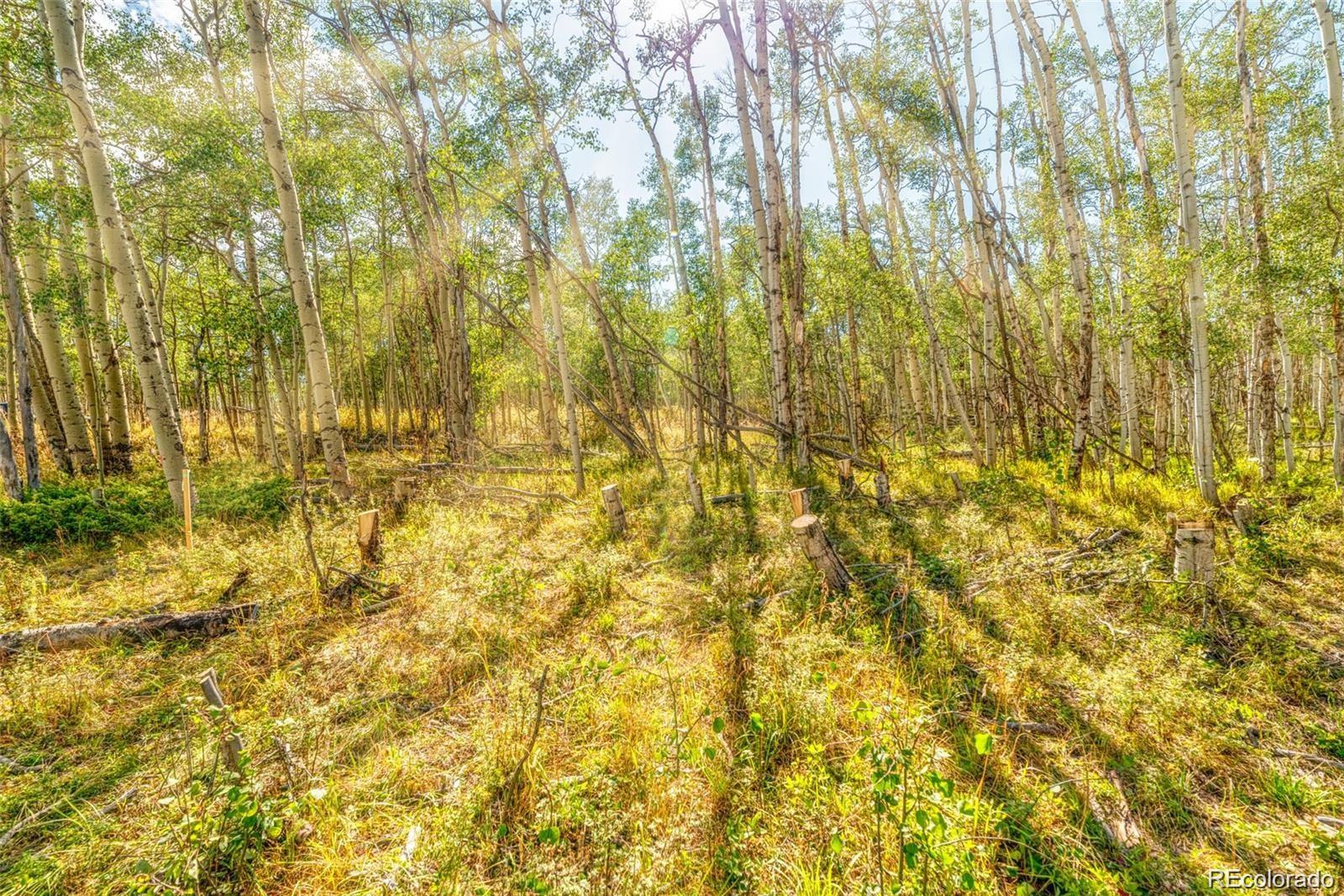 607 Boreas Circle Jefferson, CO 80456 - Photo 23 of 30