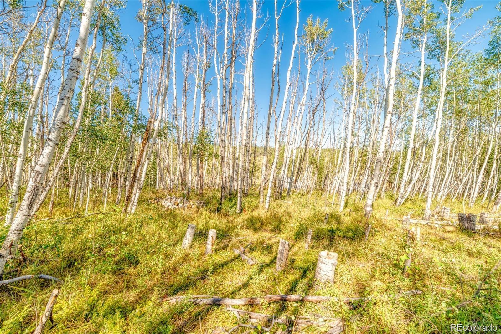 607 Boreas Circle Jefferson, CO 80456 - Photo 24 of 30