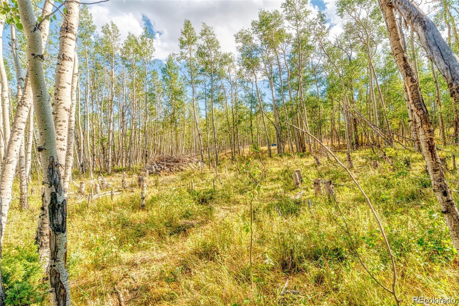 607 Boreas Circle Jefferson, CO 80456 - Photo 25 of 30