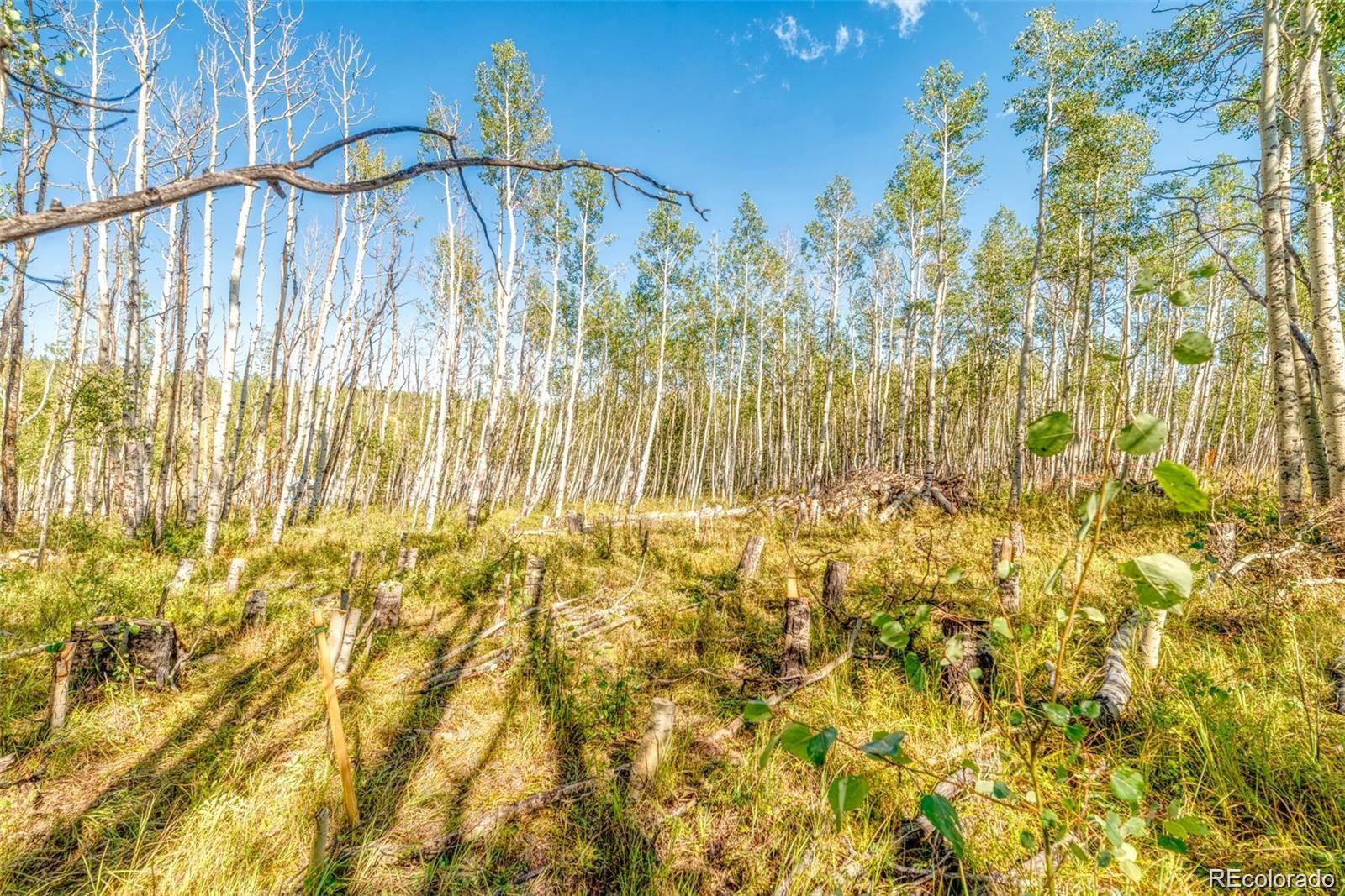 607 Boreas Circle Jefferson, CO 80456 - Photo 26 of 30