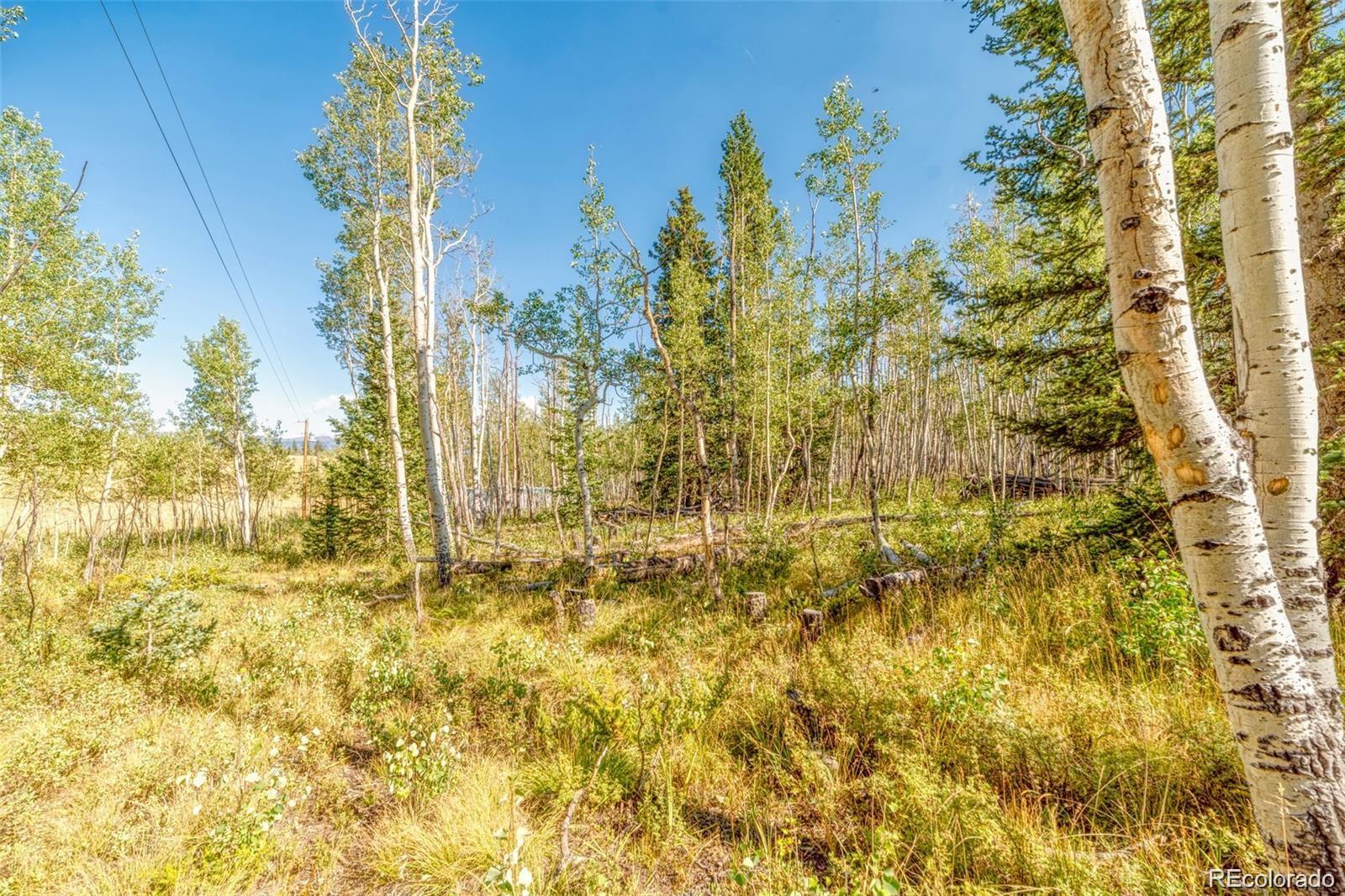 607 Boreas Circle Jefferson, CO 80456 - Photo 27 of 30