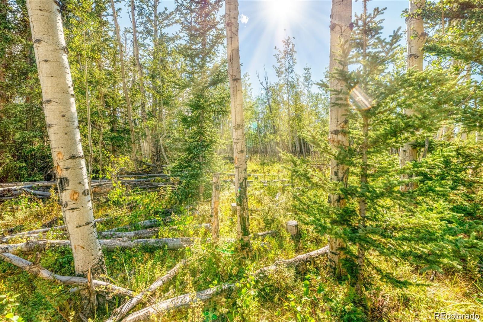 607 Boreas Circle Jefferson, CO 80456 - Photo 28 of 30