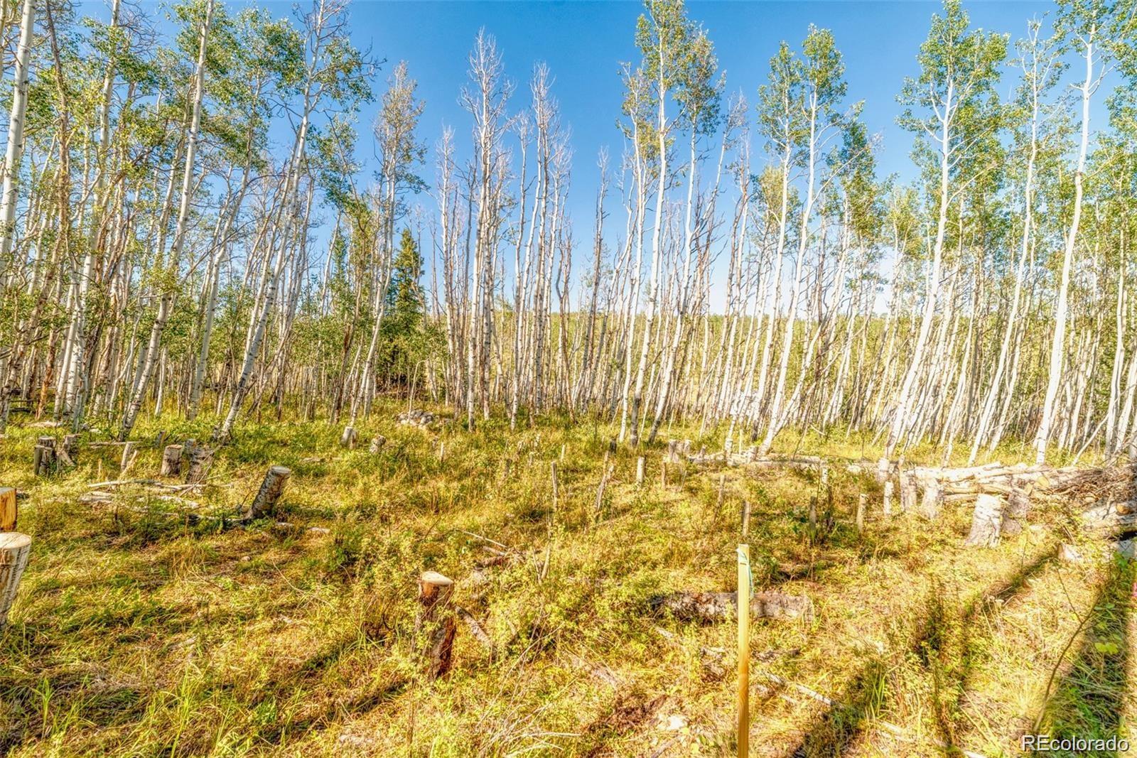 607 Boreas Circle Jefferson, CO 80456 - Photo 29 of 30