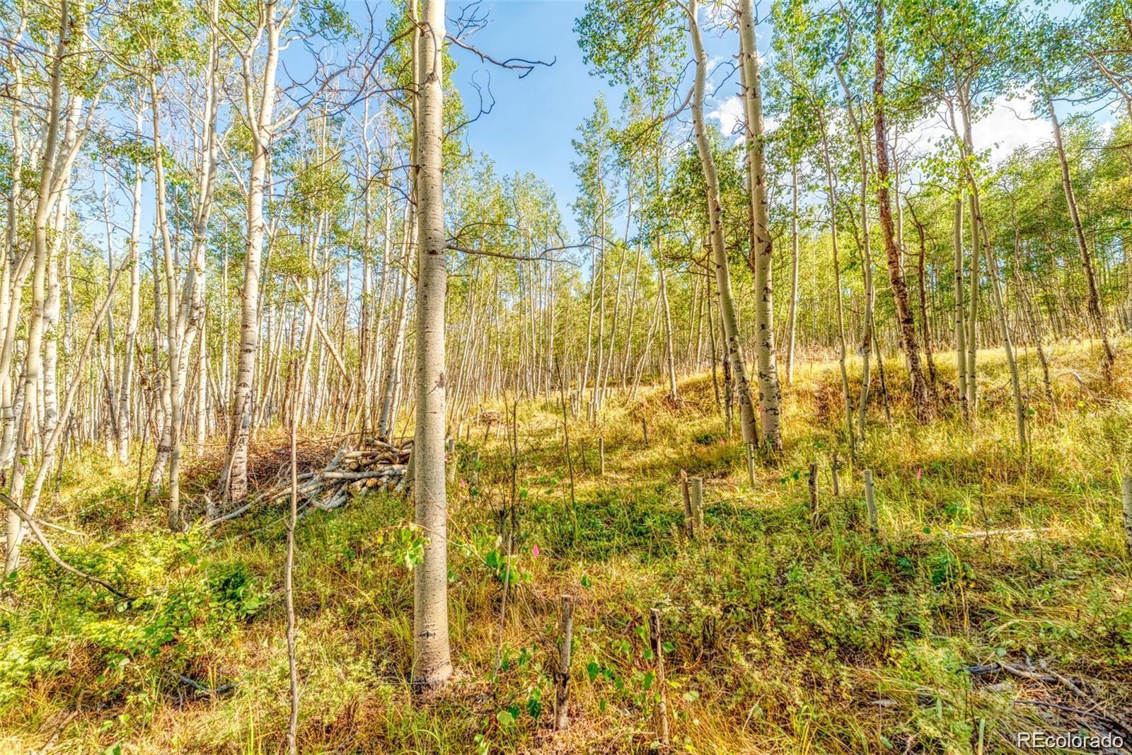 607 Boreas Circle Jefferson, CO 80456 - Photo 30 of 30