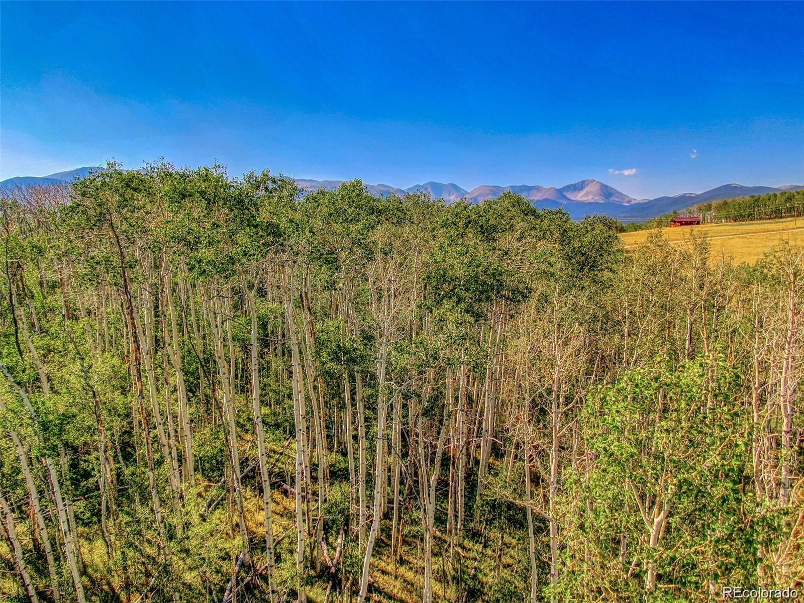 607 Boreas Circle Jefferson, CO 80456 - Photo 10 of 30