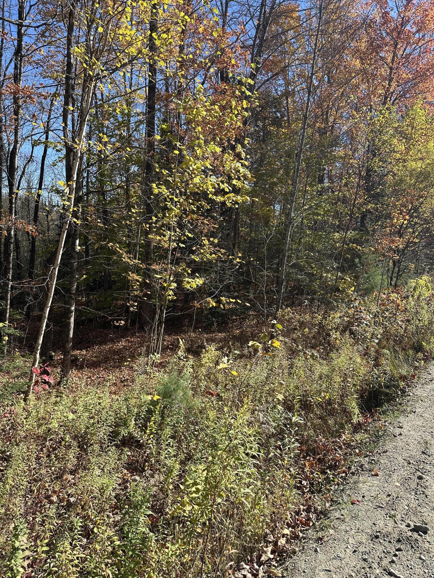 Map6-lot2 Mayhew Road Starks, ME 04911 - Photo 2 of 2