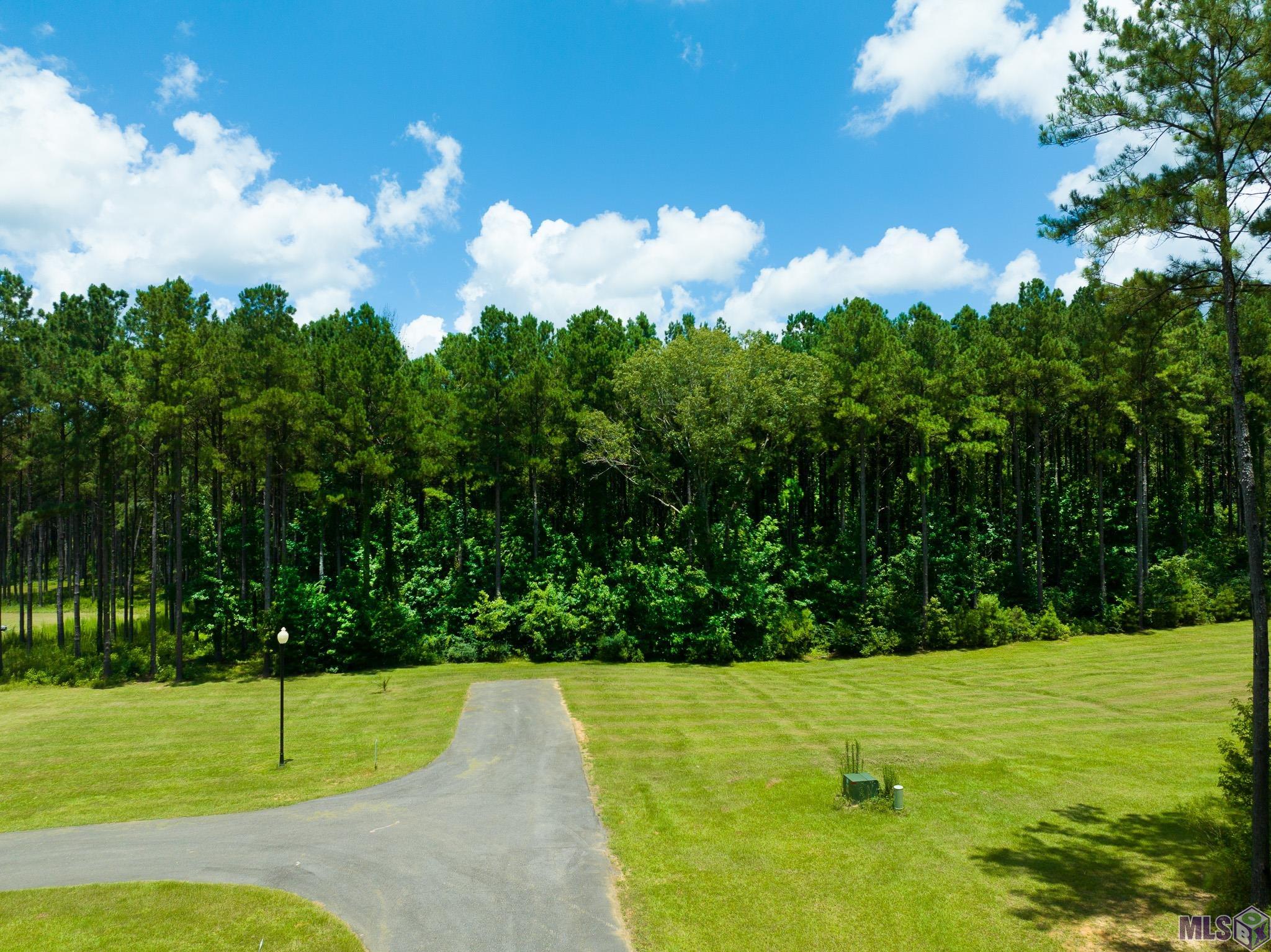 Lot 14 Basil Lane St. Francisville, LA 70775 - Photo 3 of 10