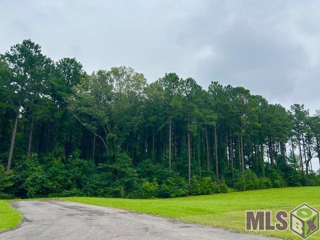 Lot 14 Basil Lane St. Francisville, LA 70775 - Photo 5 of 10
