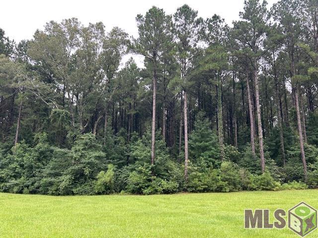 Lot 14 Basil Lane St. Francisville, LA 70775 - Photo 7 of 10