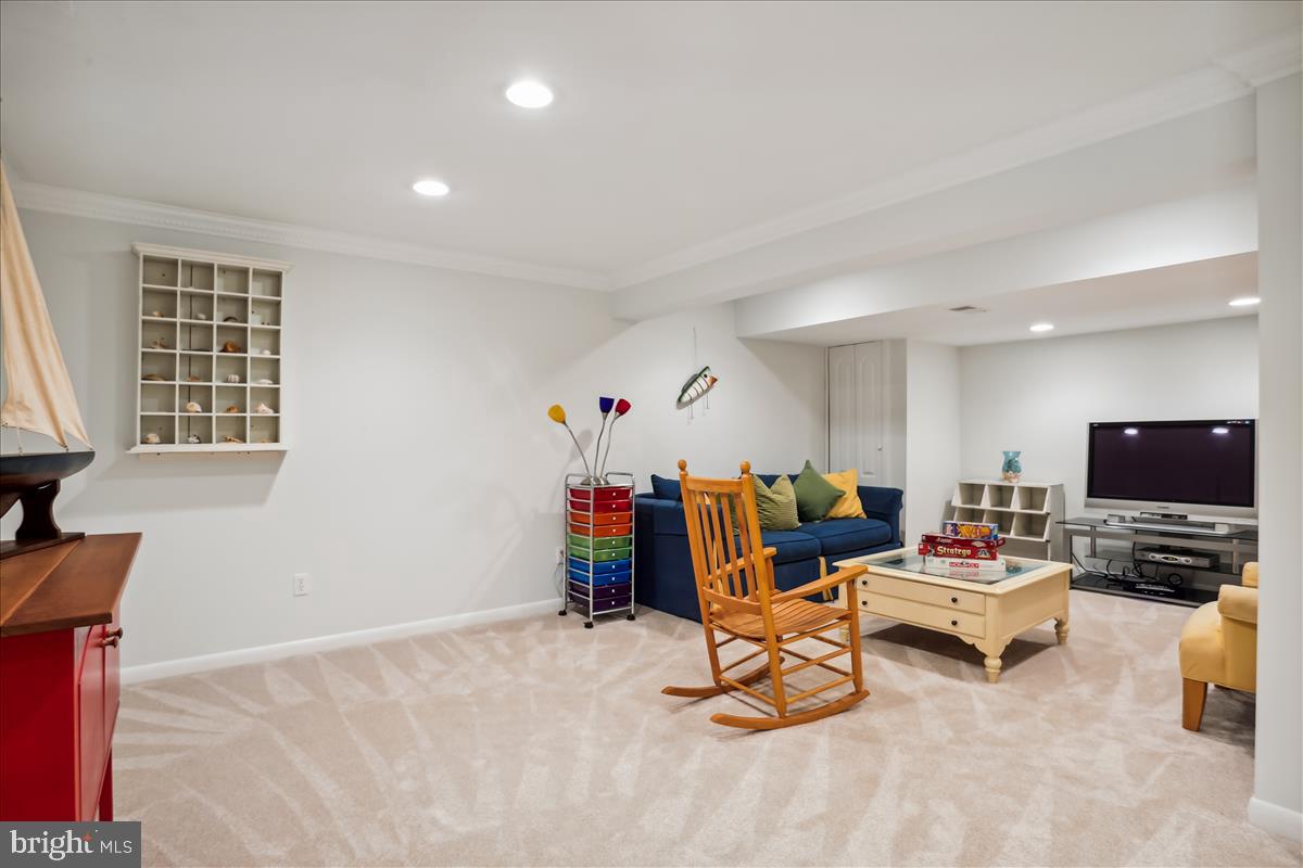 11673 Post Mills Lane Reston, VA 20194 - Photo 53 of 72 Lower level - New Carpet