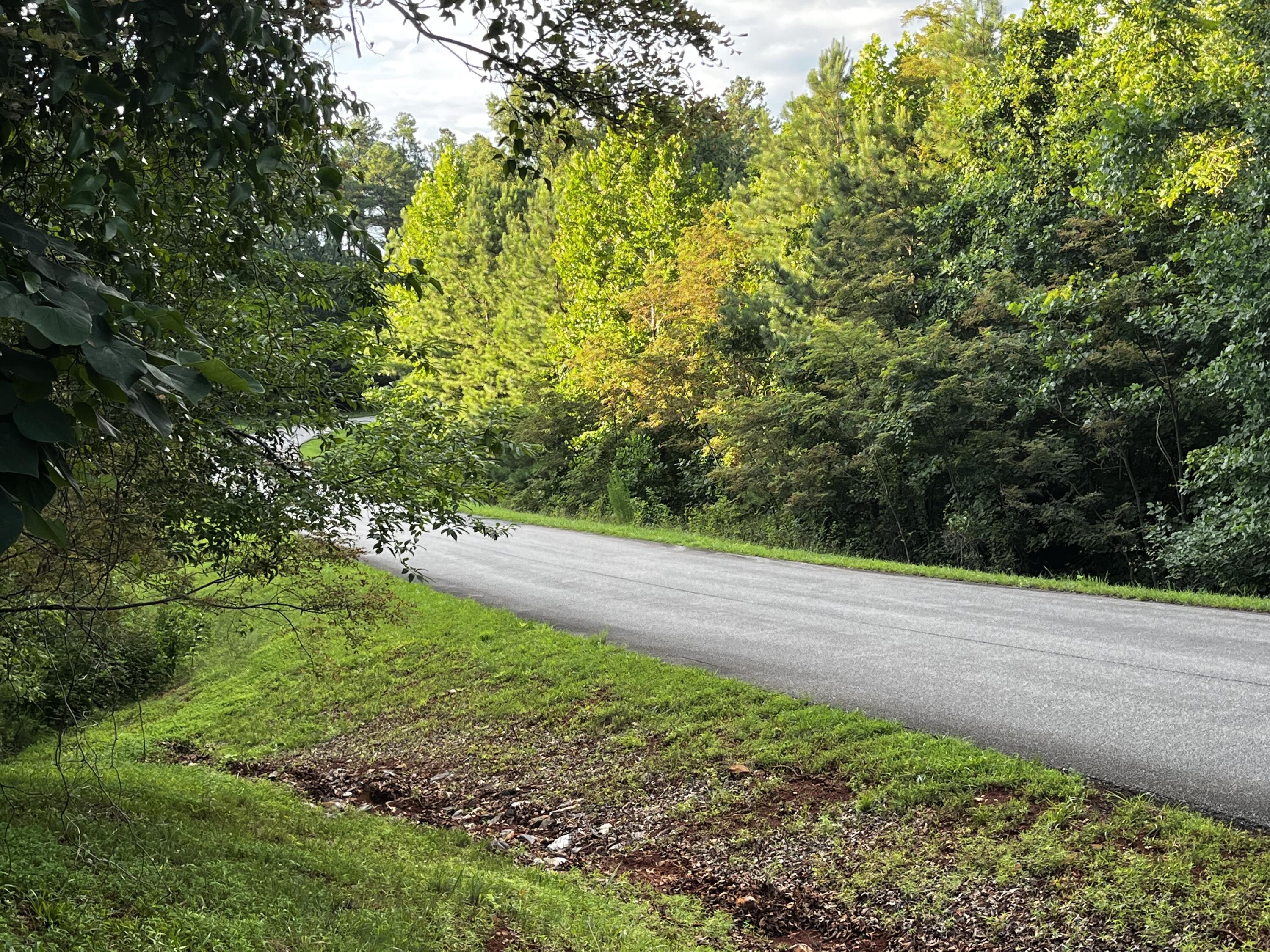 Lot 332 Bay View Road Lynch Station, VA 24571 - Photo 2 of 10 a view of a yard with plants and large trees
