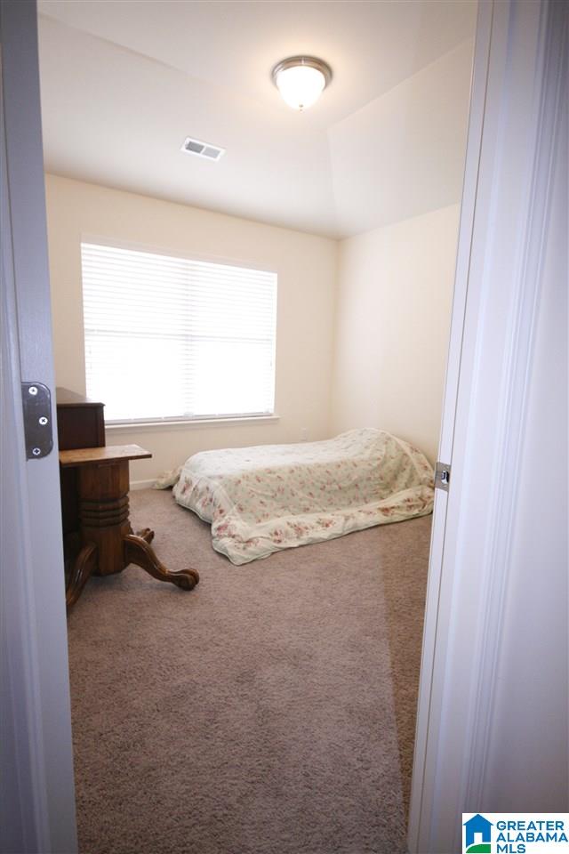 125 Blueberry Cove Springville, AL 35146 - Photo 18 of 20