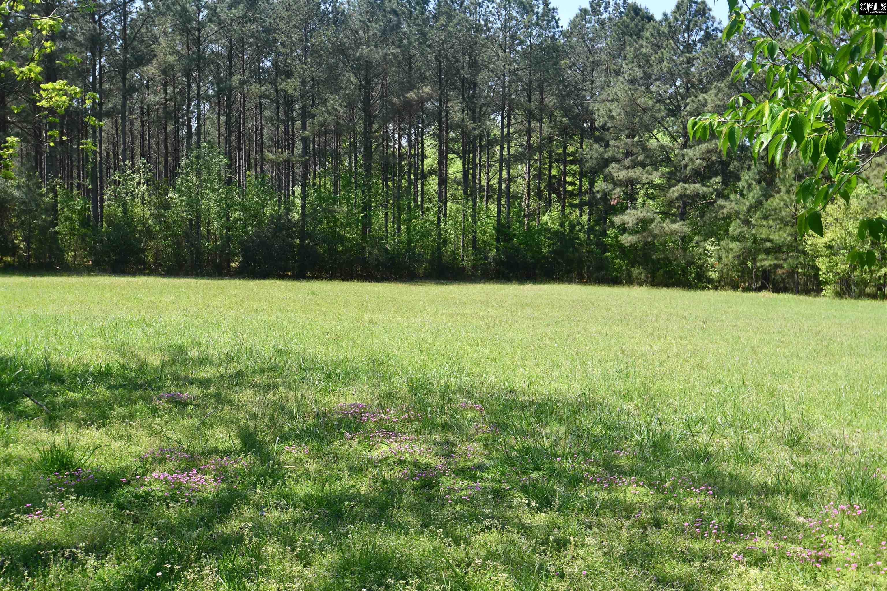 999 Halsellville Road Chester, SC 29706 - Photo 4 of 44