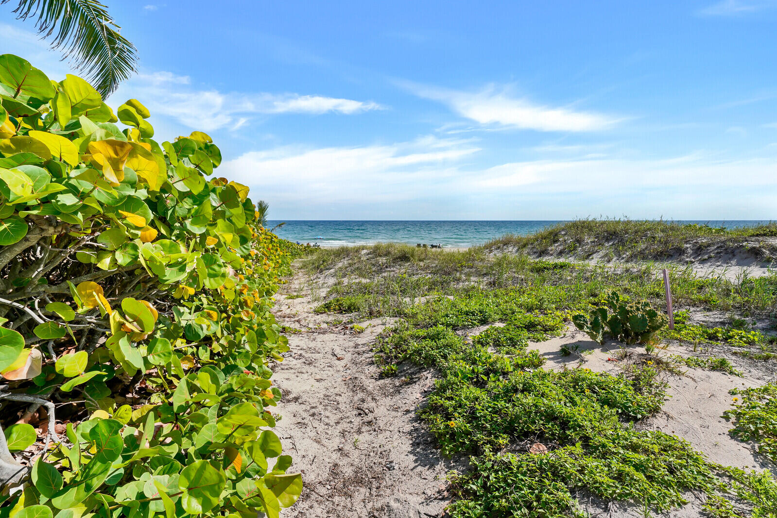 3051 South Ocean Boulevard, Unit 7020 Boca Raton, FL 33432 - Photo 29 of 41 30_Image_30_mls