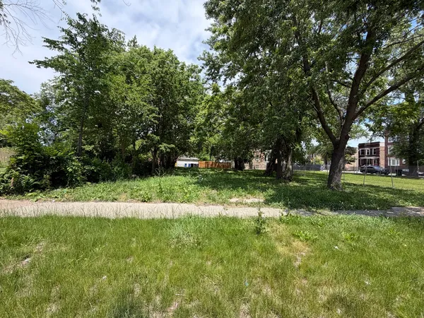 a view of yard with green space