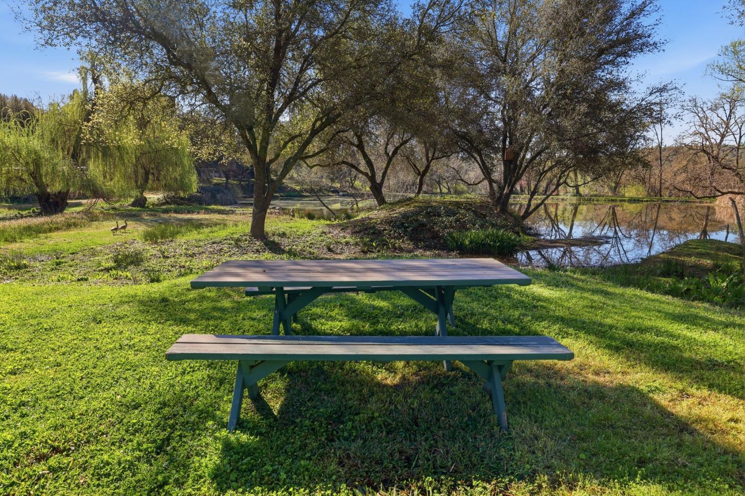 1525 Cold Springs Road, Unit 67 Placerville, CA 95667 - Photo 3 of 35 Community pond