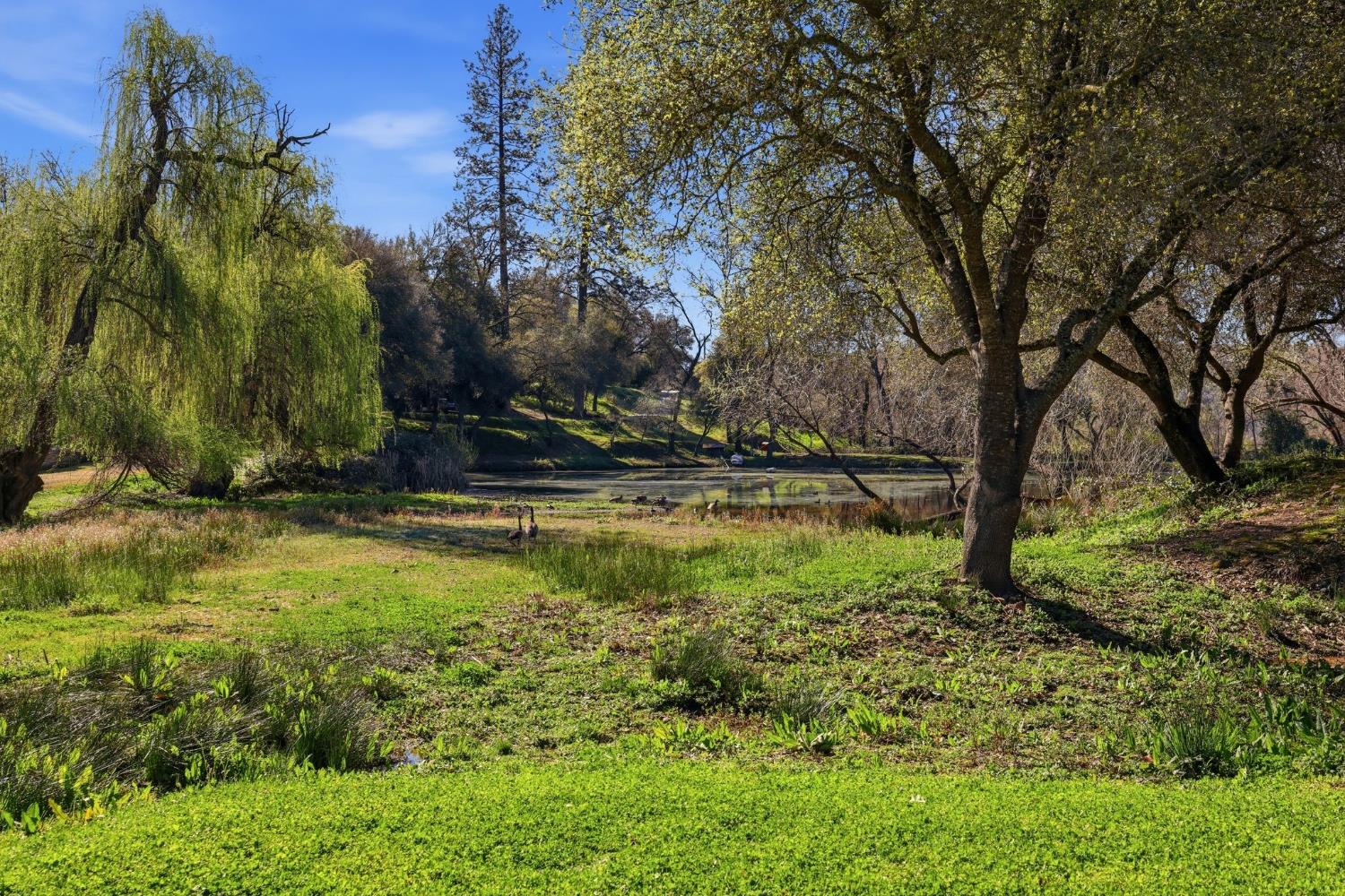 1525 Cold Springs Road, Unit 67 Placerville, CA 95667 - Photo 35 of 35