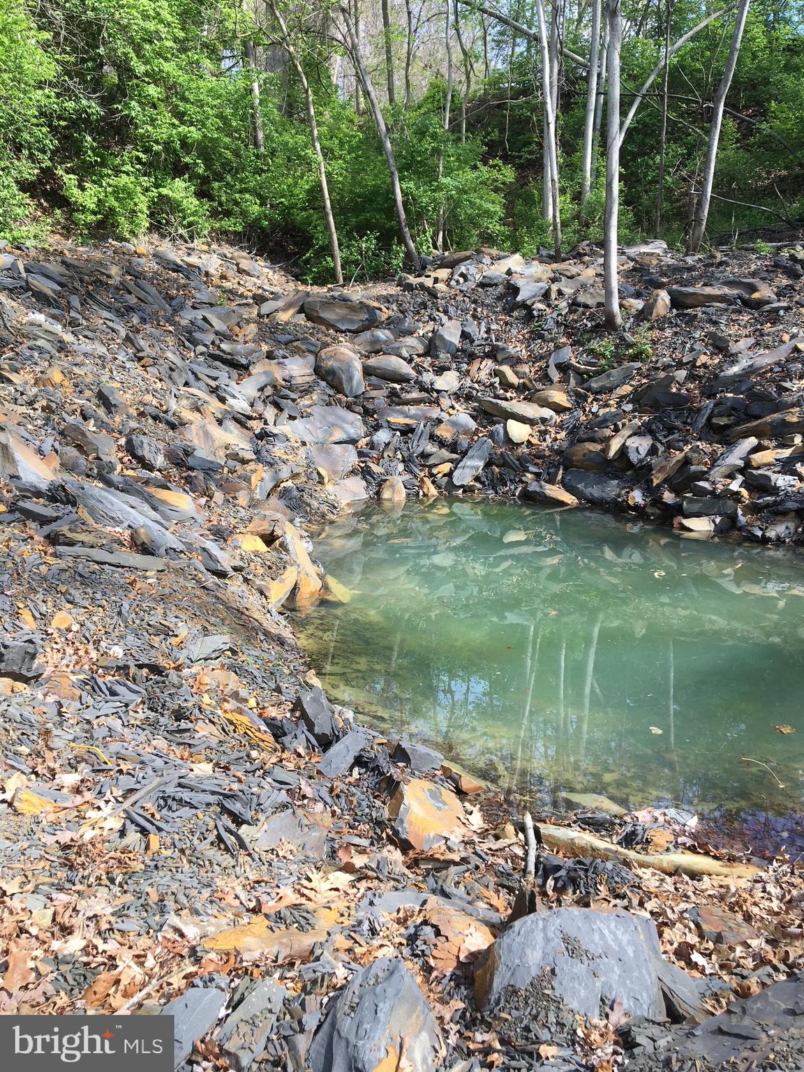 13450 Millstone Circle Hancock, MD 21750 - Photo 2 of 61 a view of a lake from a yard