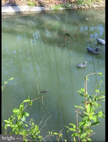 a view of a lake with houses