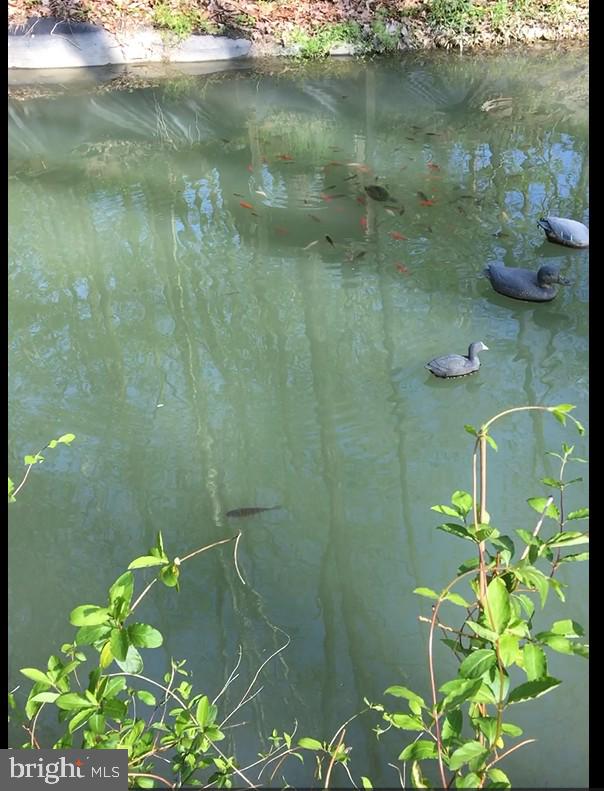 13450 Millstone Circle Hancock, MD 21750 - Photo 3 of 61