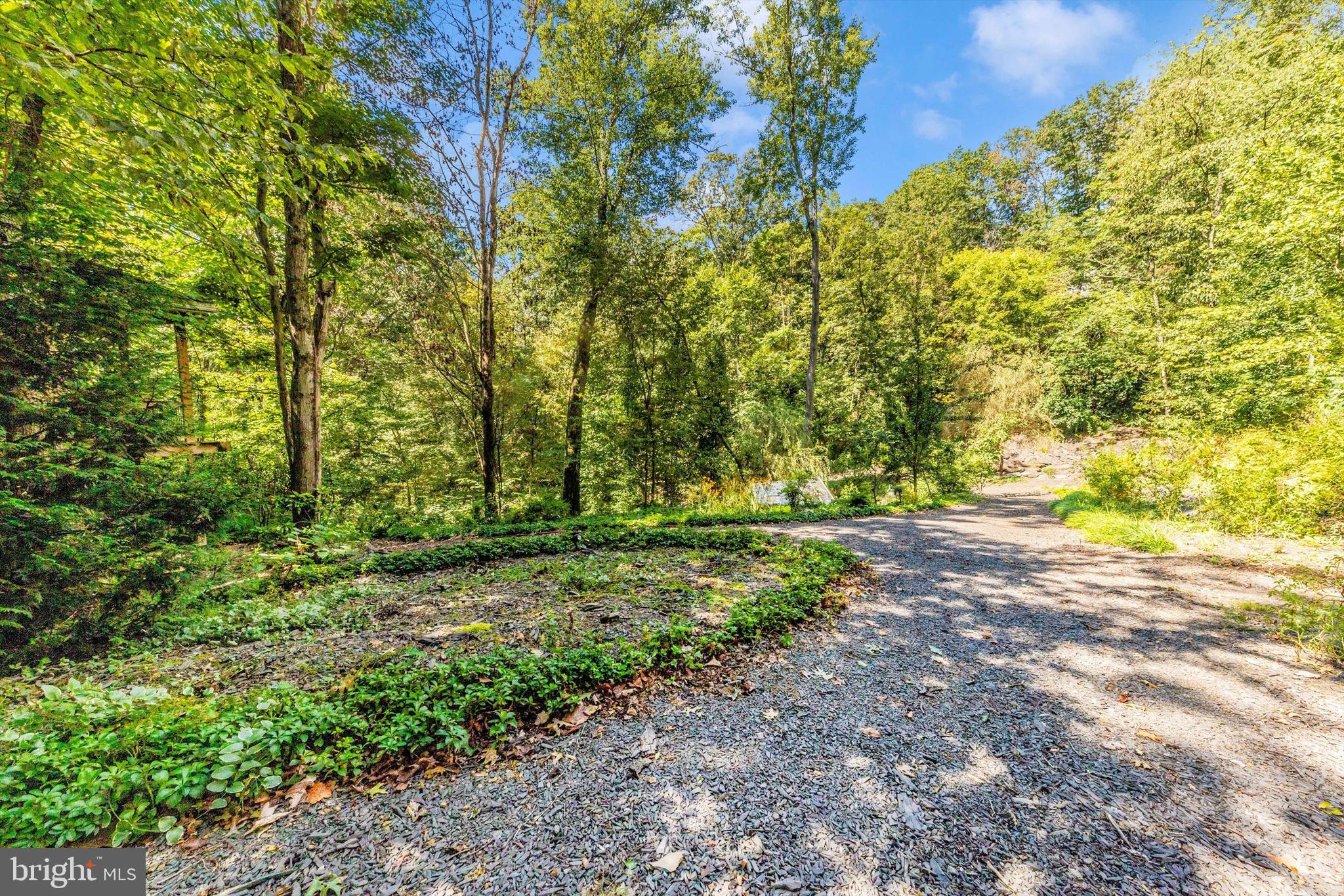 13450 Millstone Circle Hancock, MD 21750 - Photo 53 of 61 a view of a yard with plants and large trees