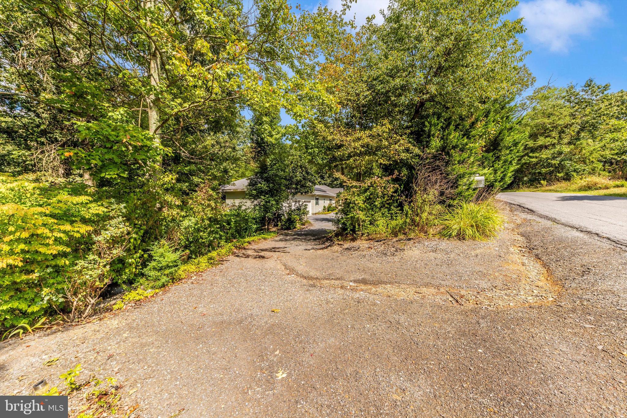 13450 Millstone Circle Hancock, MD 21750 - Photo 56 of 61 a view of a yard with plants and trees