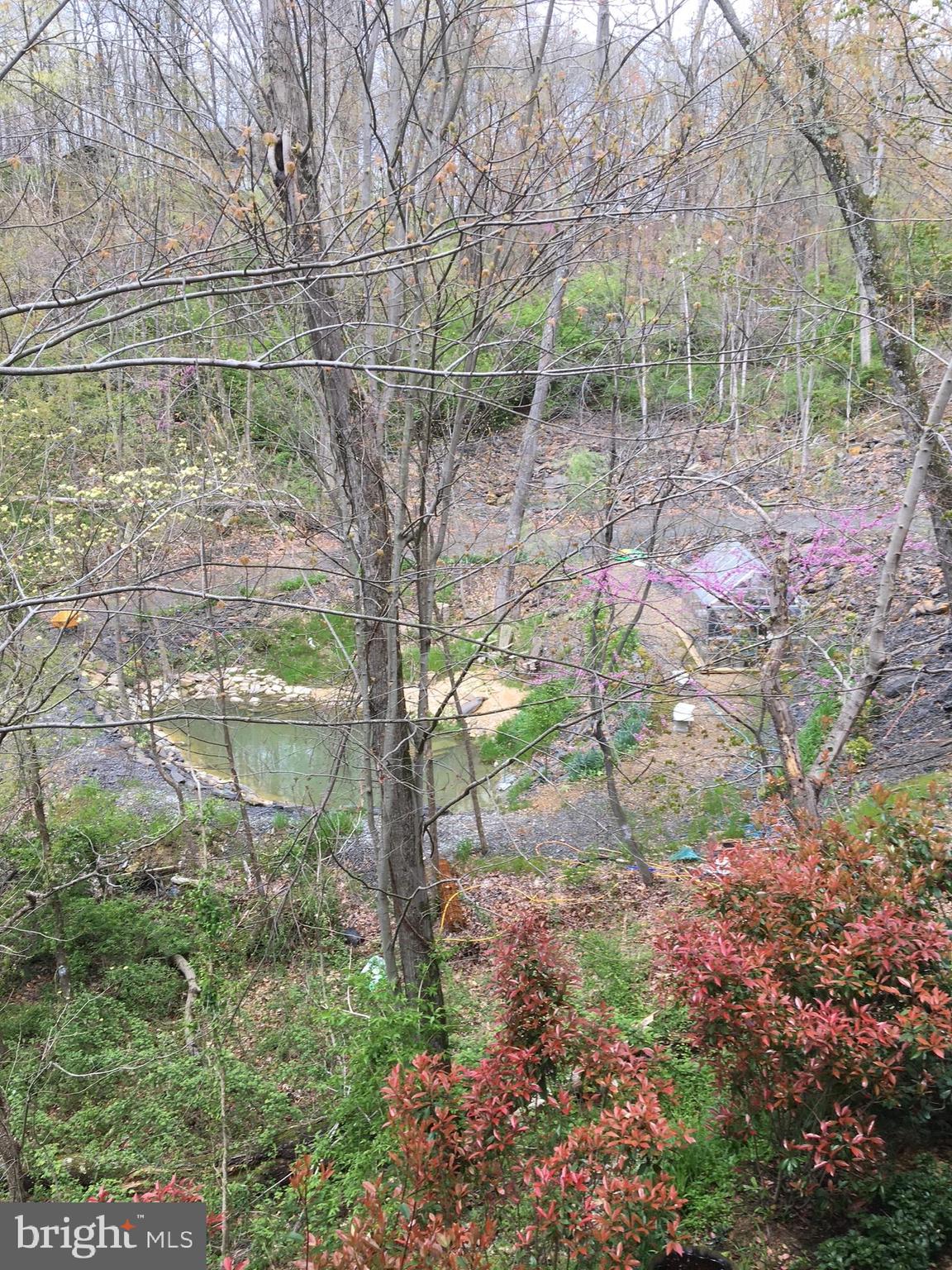 13450 Millstone Circle Hancock, MD 21750 - Photo 59 of 61 a backyard of a house with lots of green space
