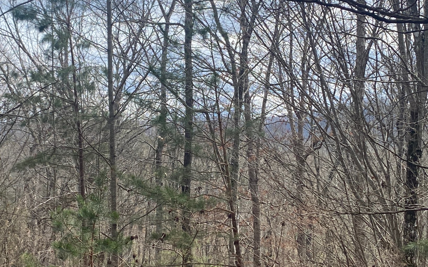 47 Ralston Gap Road Morganton, GA 30560 - Photo 11 of 11 Additional View