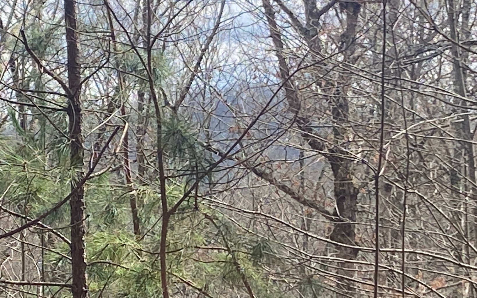 47 Ralston Gap Road Morganton, GA 30560 - Photo 2 of 11 Additional View