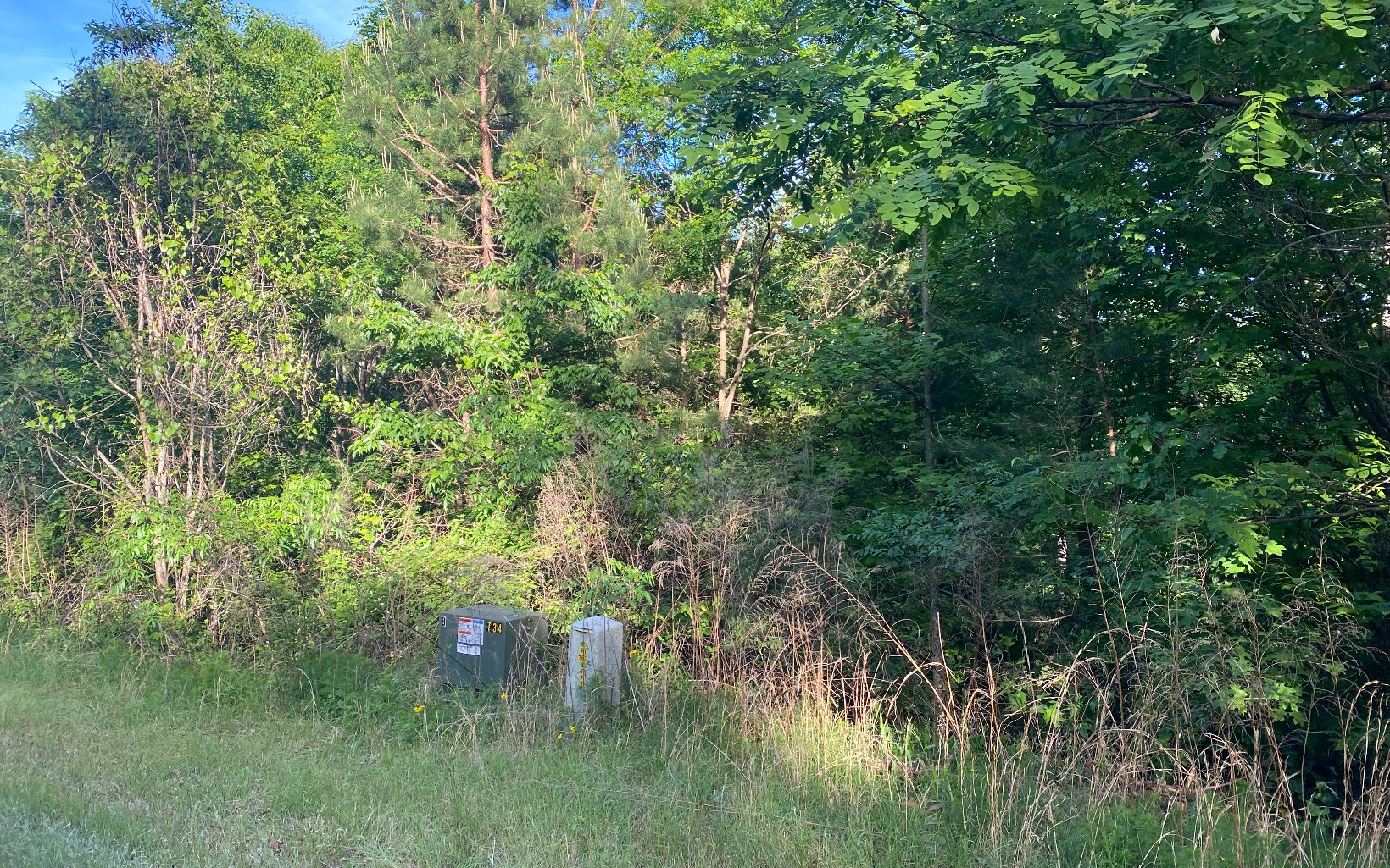 47 Ralston Gap Road Morganton, GA 30560 - Photo 4 of 11 Additional View