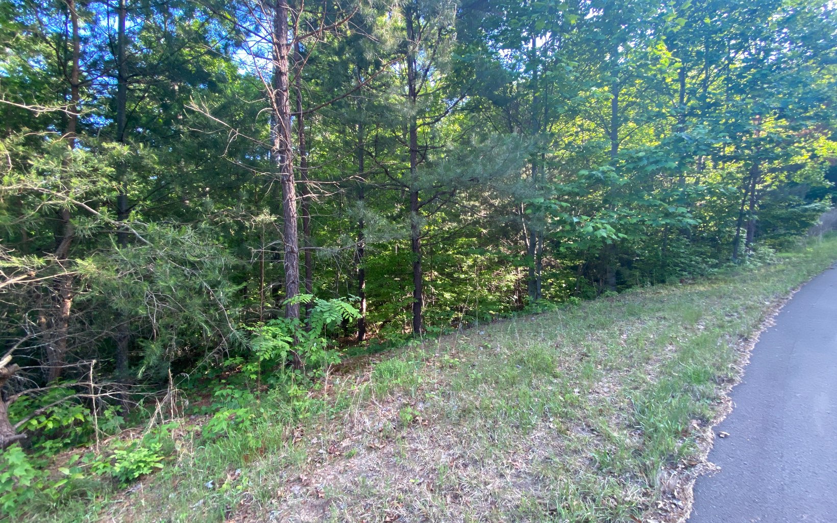 47 Ralston Gap Road Morganton, GA 30560 - Photo 5 of 11 Additional View