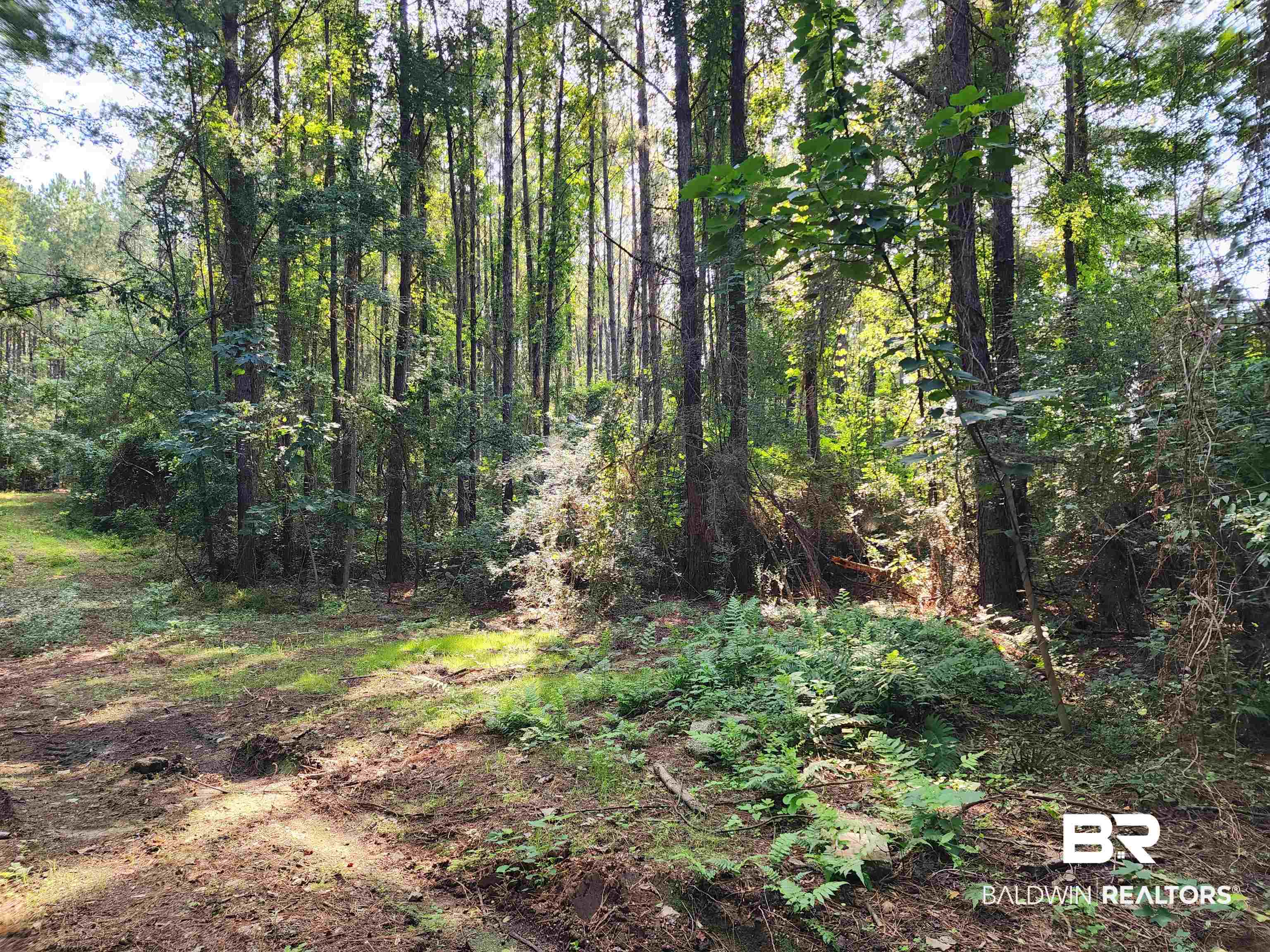 0 Lowery Road Atmore, AL 36502 - Photo 6 of 28