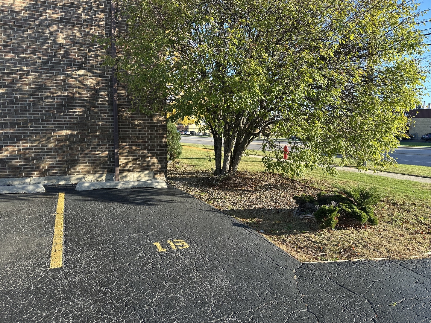 10930 Central Avenue, Unit 1B Chicago Ridge, IL 60415 - Photo 18 of 22 a view of a street with a tree