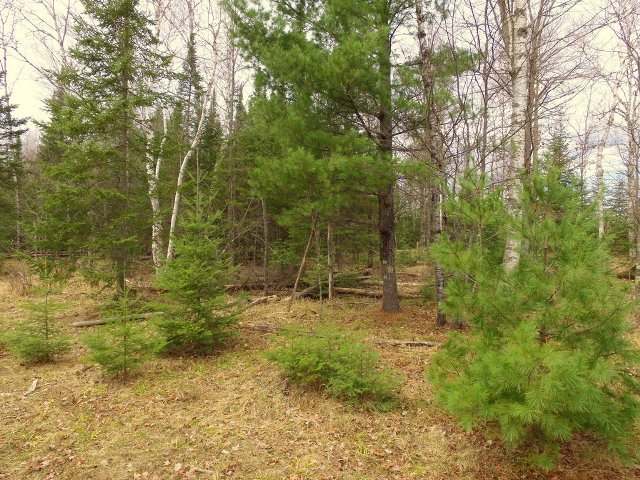 Near Near Cth J Mercer, WI 54547 - Photo 10 of 16 Gallery Image 10