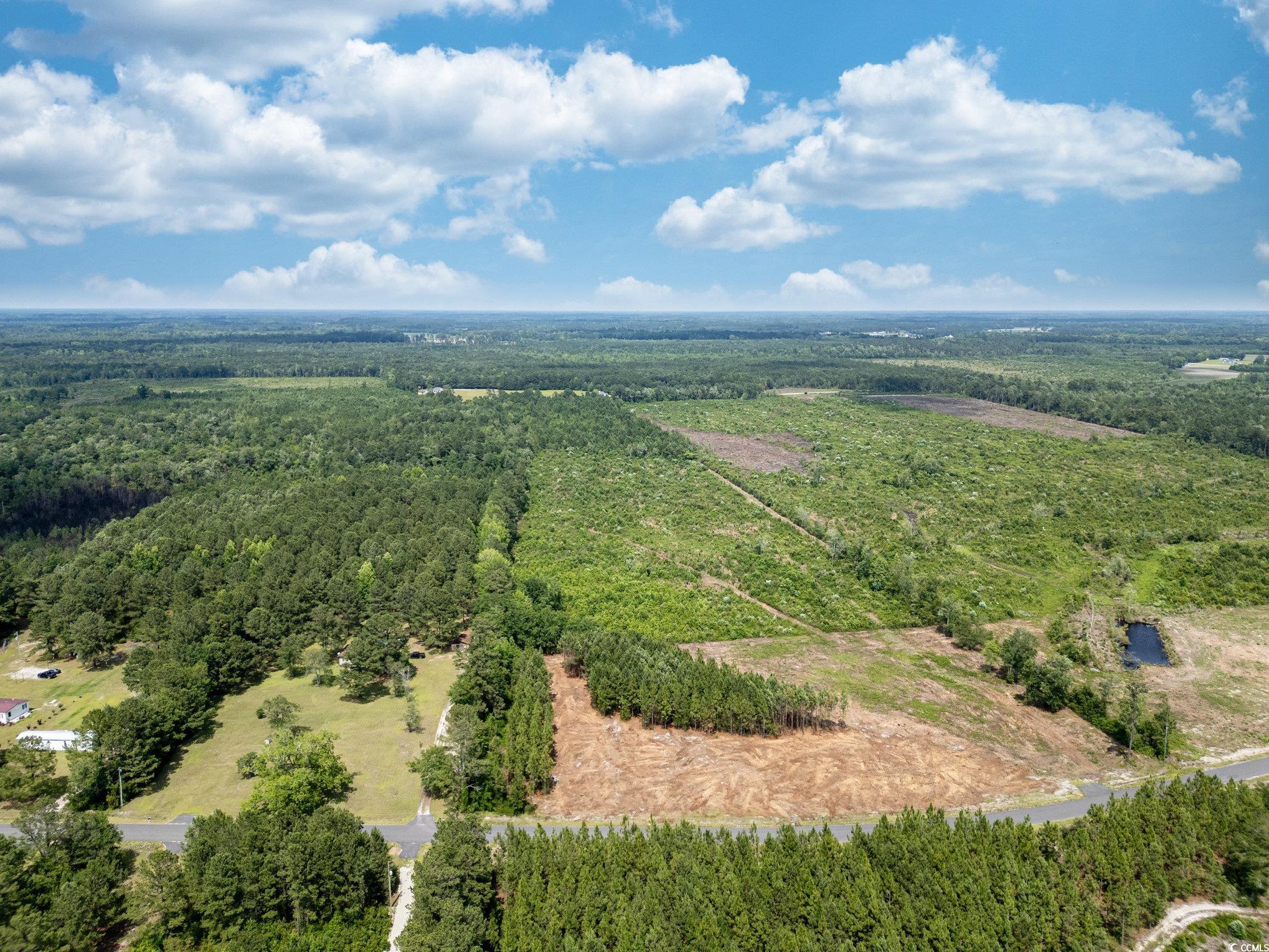 Tbd Bellaire Drive Nichols, SC 29581 - Photo 8 of 11 Aerial view of a heavily wooded area