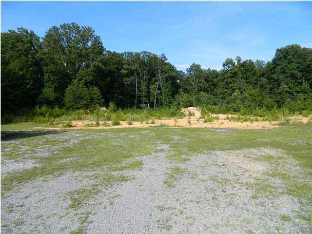 3077 Straight Gut Road LaFayette, GA 30728 - Photo 17 of 36 Additional Photo