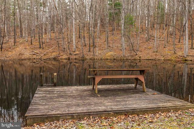 Hopkins Gap Road Fulks Run, VA 22830 - Photo 16 of 75