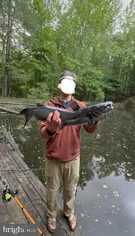 Hopkins Gap Road Fulks Run, VA 22830 - Photo 18 of 75