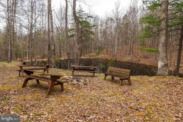 Hopkins Gap Road Fulks Run, VA 22830 - Photo 19 of 75