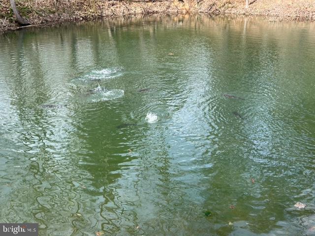 Hopkins Gap Road Fulks Run, VA 22830 - Photo 20 of 75