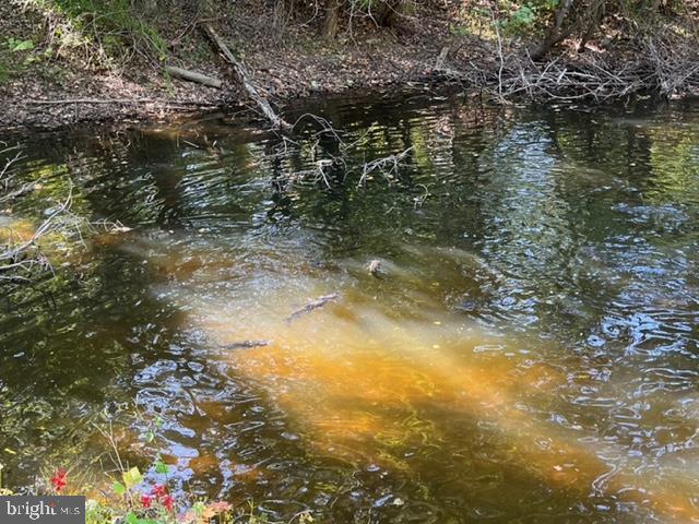 Hopkins Gap Road Fulks Run, VA 22830 - Photo 21 of 75