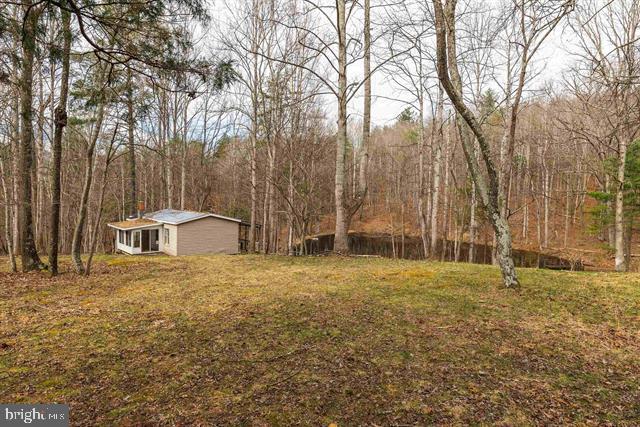 Hopkins Gap Road Fulks Run, VA 22830 - Photo 22 of 75