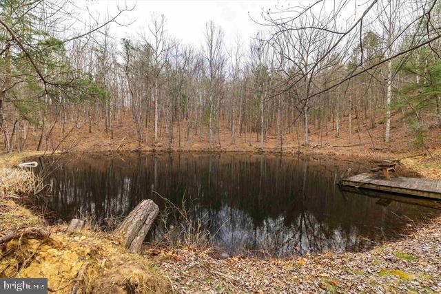 Hopkins Gap Road Fulks Run, VA 22830 - Photo 23 of 75