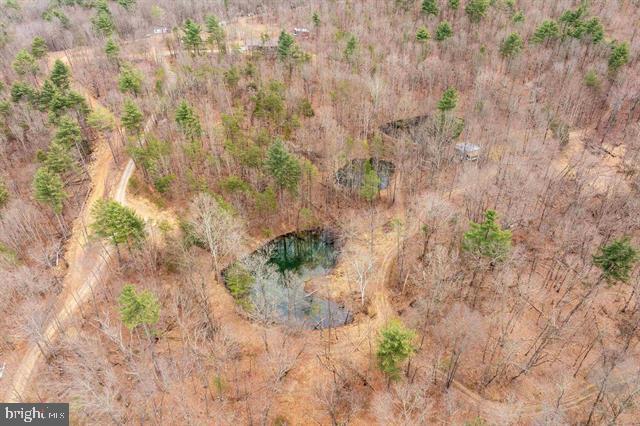 Hopkins Gap Road Fulks Run, VA 22830 - Photo 25 of 75