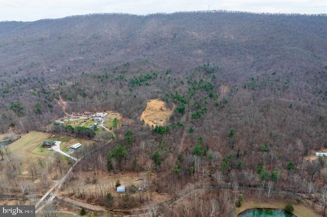 Hopkins Gap Road Fulks Run, VA 22830 - Photo 3 of 75