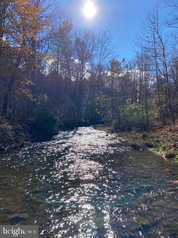 Hopkins Gap Road Fulks Run, VA 22830 - Photo 40 of 75