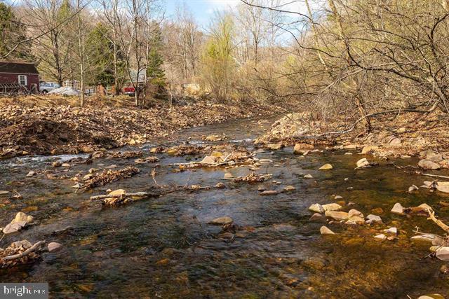 Hopkins Gap Road Fulks Run, VA 22830 - Photo 41 of 75